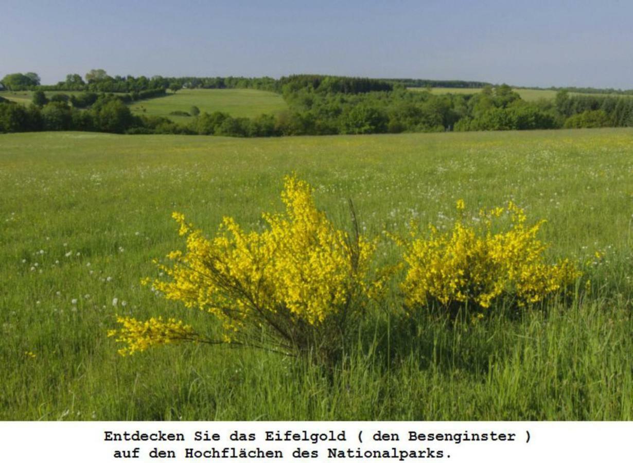 Ferienwohnung Gross B Schleiden Luaran gambar