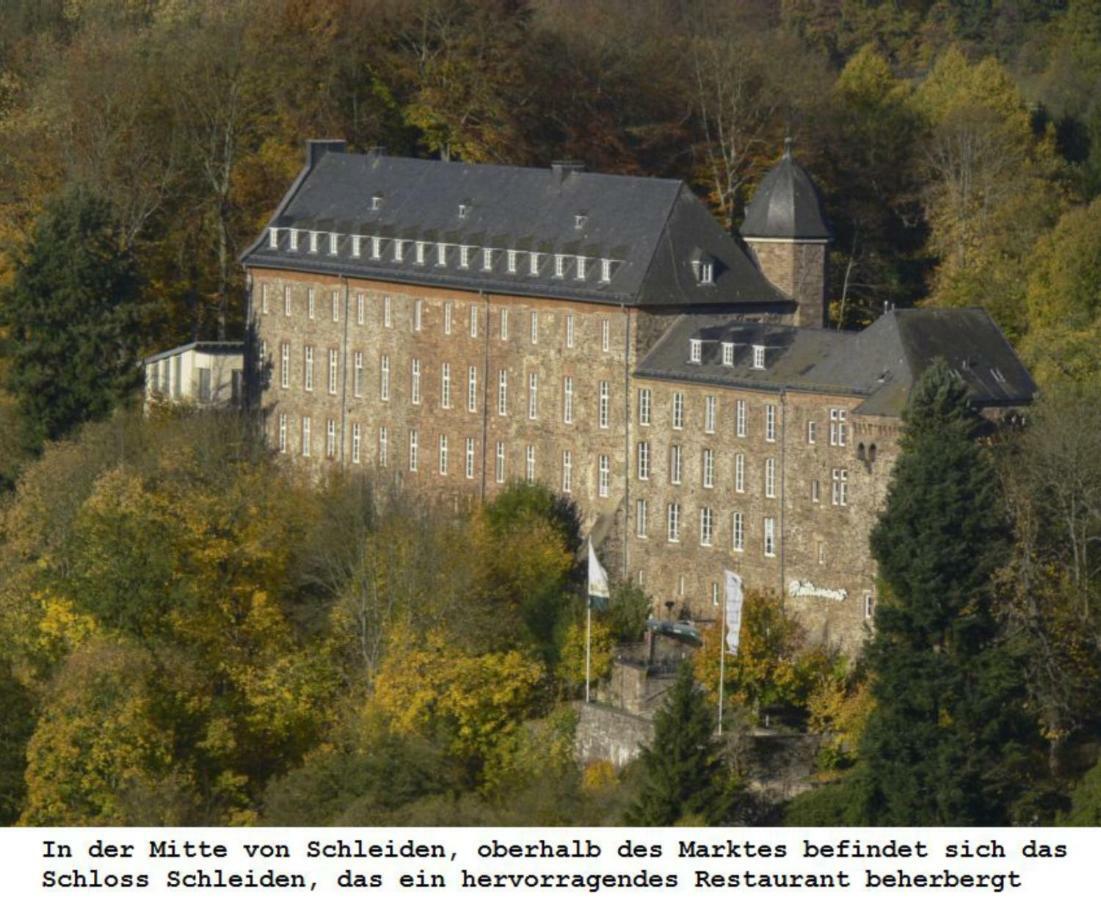 Ferienwohnung Gross B Schleiden Luaran gambar