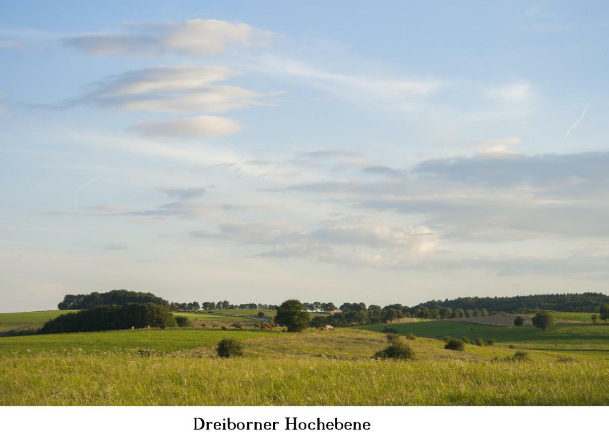 Ferienwohnung Gross B Schleiden Luaran gambar